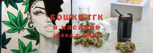 шишки Дмитров