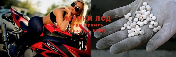 шишки Дмитров