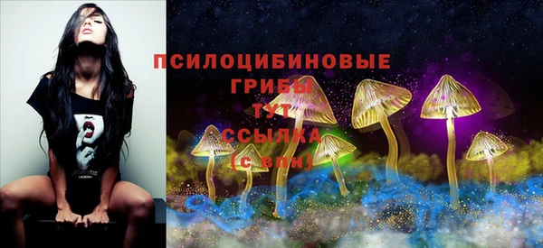 меф Гусиноозёрск
