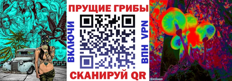 Купить закладки  Задонск  Галлюциногенные грибы Cubensis 